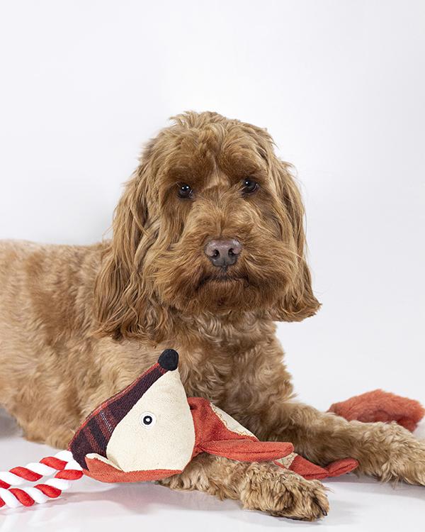 Joules Pet Collection – Rope Heritage Tweed Fox Dog Toy