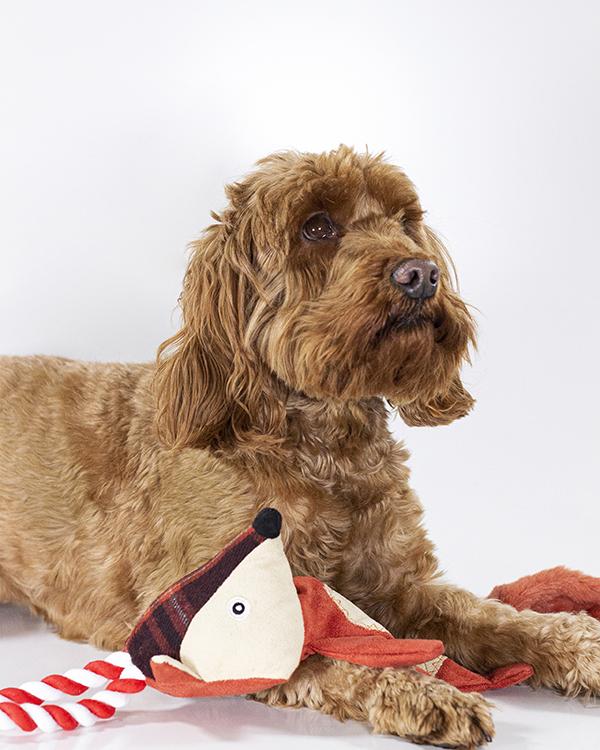 Joules Pet Collection – Rope Heritage Tweed Fox Dog Toy