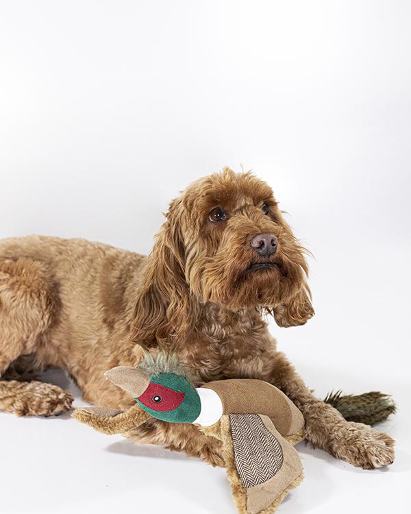 Joules Pet Collection – Pheasant Dog Toy