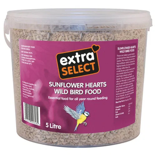 A 5 litre bucket of Extra Select Sunflower Hearts wild bird food.
