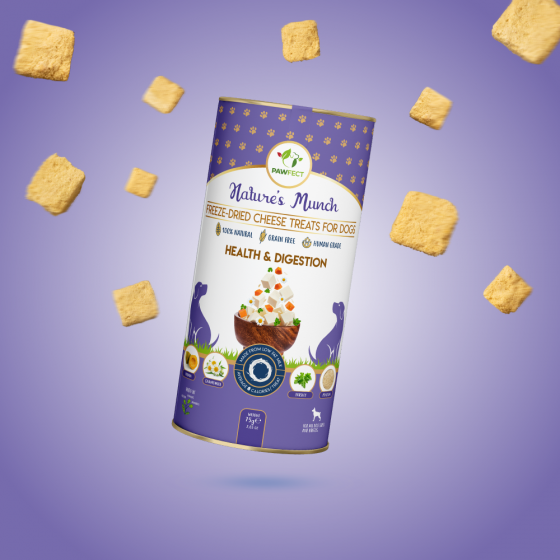 Pawfect Nature's Munch Health & Digestion Dog Treat 75g