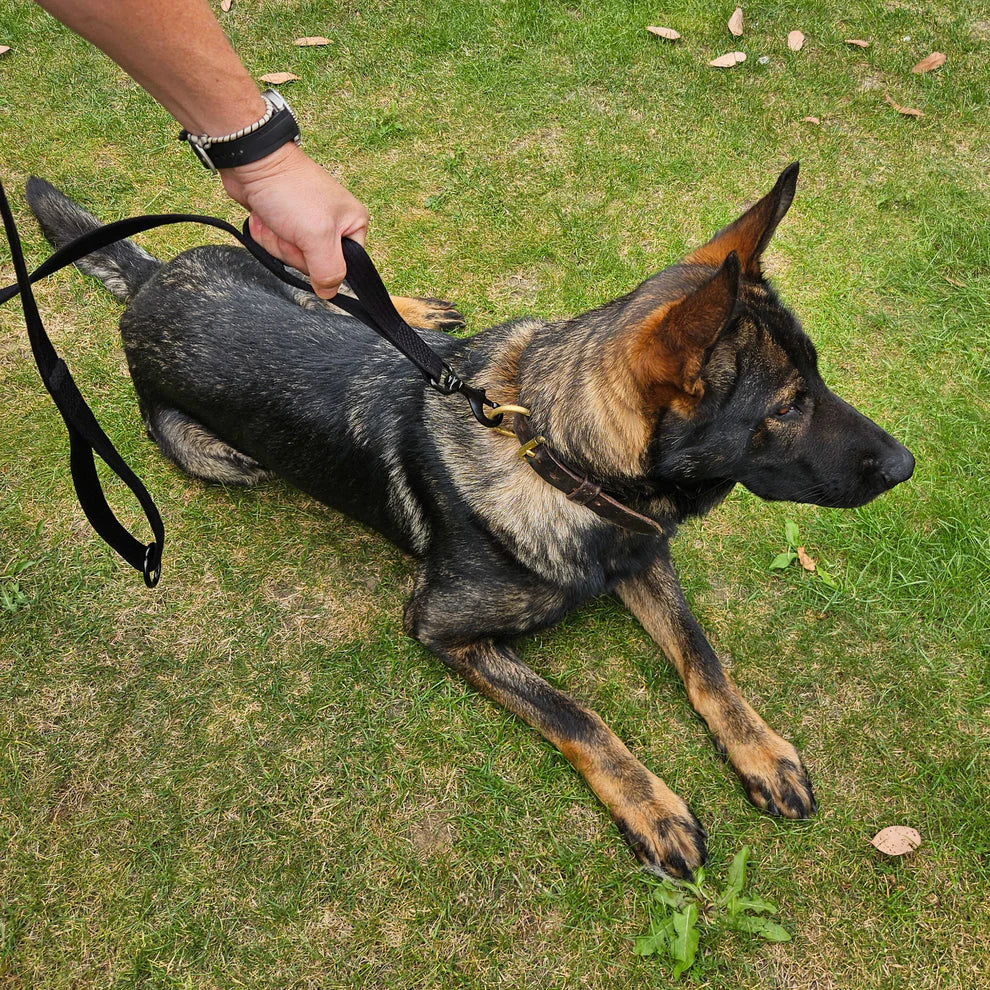 Zero Pro GP Dog Lead with Control Handle – Tactical Training Lead (1.45m, Heavy Duty, Bamboo Fibre)
