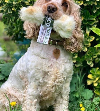 Dog treat Anco Naturals Rabbit Hide Rolls – 100% natural hair-on chew, air-dried rabbit for healthy digestion and dental support.