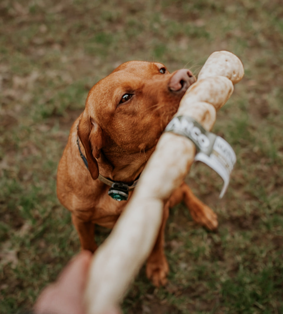 Anco Giant Goat Roll - Natural Dog Treat