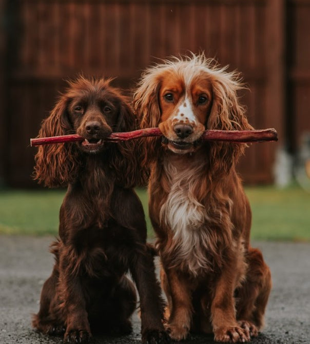 Anco Naturals Giant Pizzle Stick Dog Treat