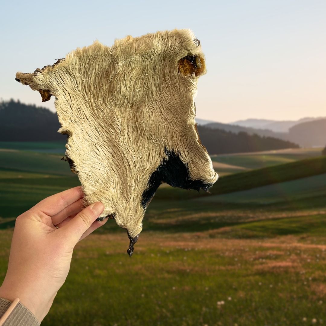 XL Hairy Beef Skin – Natural Long-Lasting Chew for Dogs