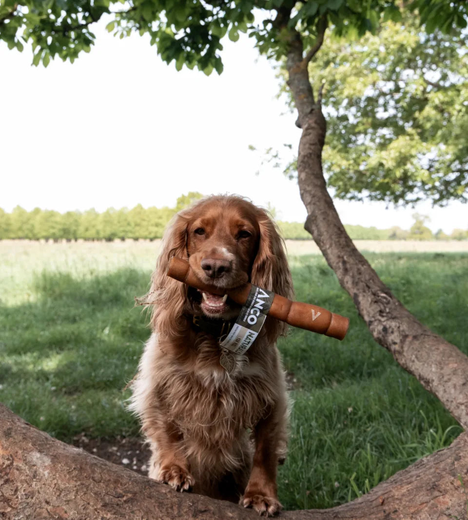 Anco Naturals Yak Rolls Large | 100% Yak Skin Dog Chew