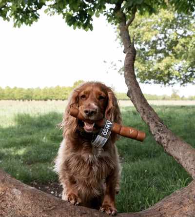 Anco Naturals Yak Rolls Large | 100% Yak Skin Dog Chew.