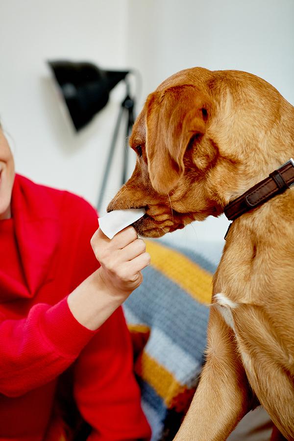 Vets Best Clean Teeth Finger Pads For Dogs And Cats 50pc