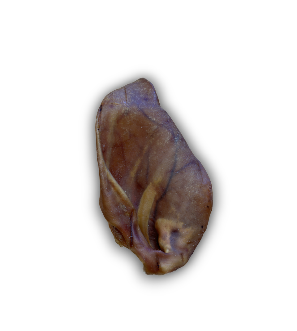 Pigs Ear Natural Dog Treat - Single