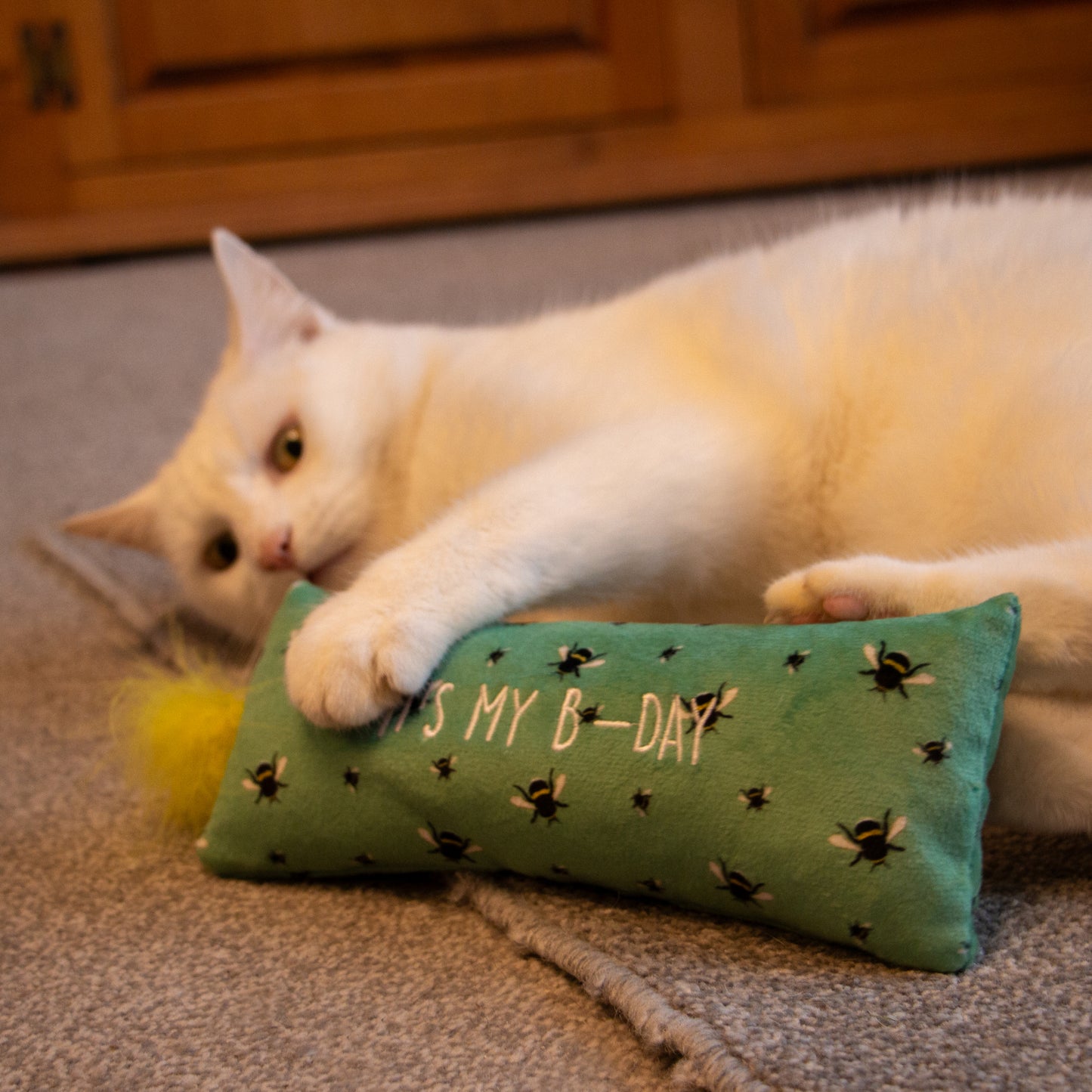 Ancol Birthday Day Cat Kicker Toy