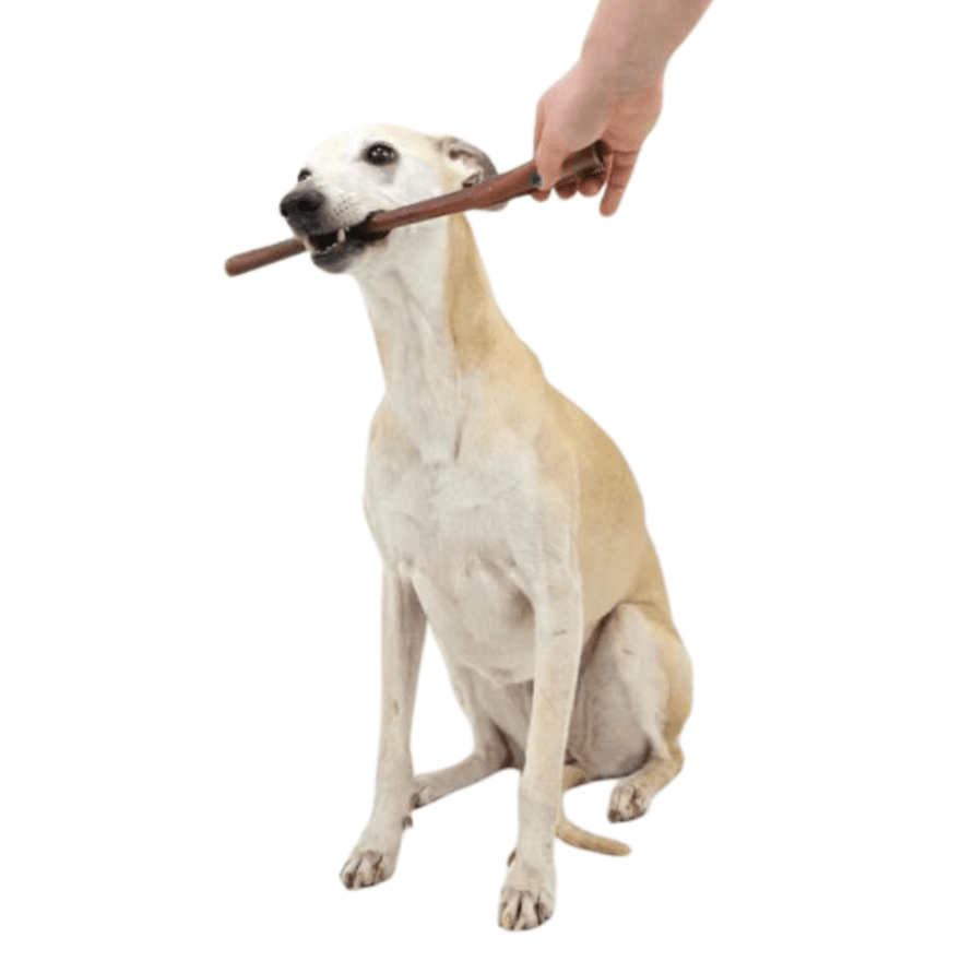 Bulls Pizzle Sticks Natural Dog Treat - Single various sizes.