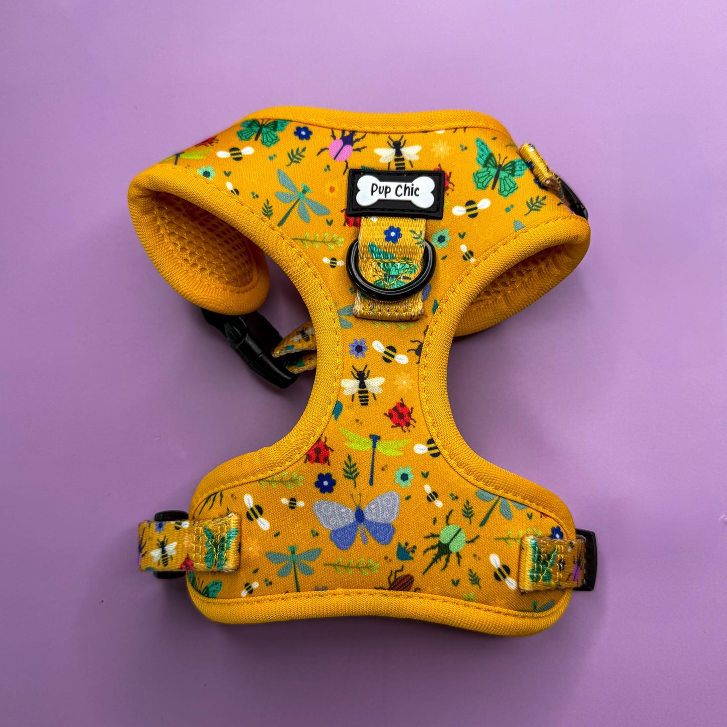 Pup Chic - Summer Buzzin Range - Harnesses, Leads, Collars Etc