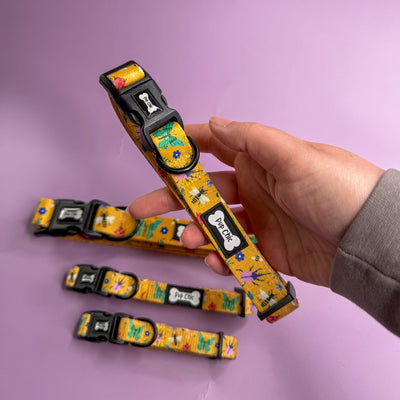 Pup Chic Boutique – Summer Buzzin’ Adjustable Dog Collar (XS–L)