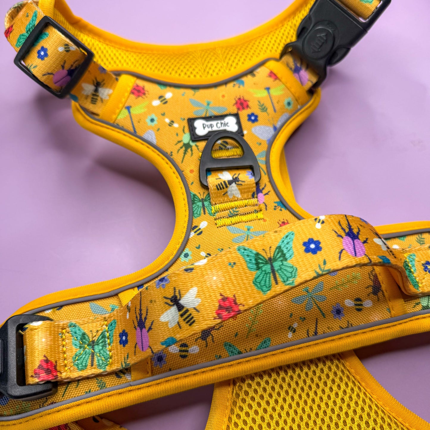 Pup Chic - Summer Buzzin Range - Harnesses, Leads, Collars Etc