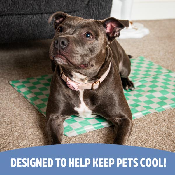 Dog sitting on a green checkered mat with text 'Designed to help keep pets cool!'.