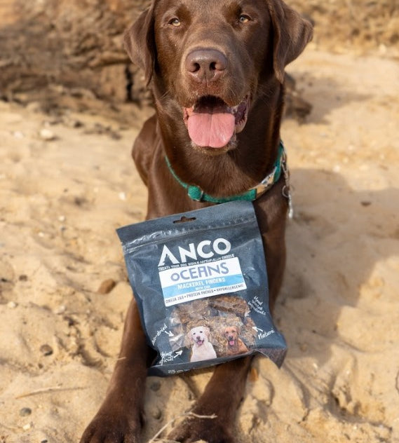 Anco Oceans Mackerel Fingers with Cod β 100g Dog Treats