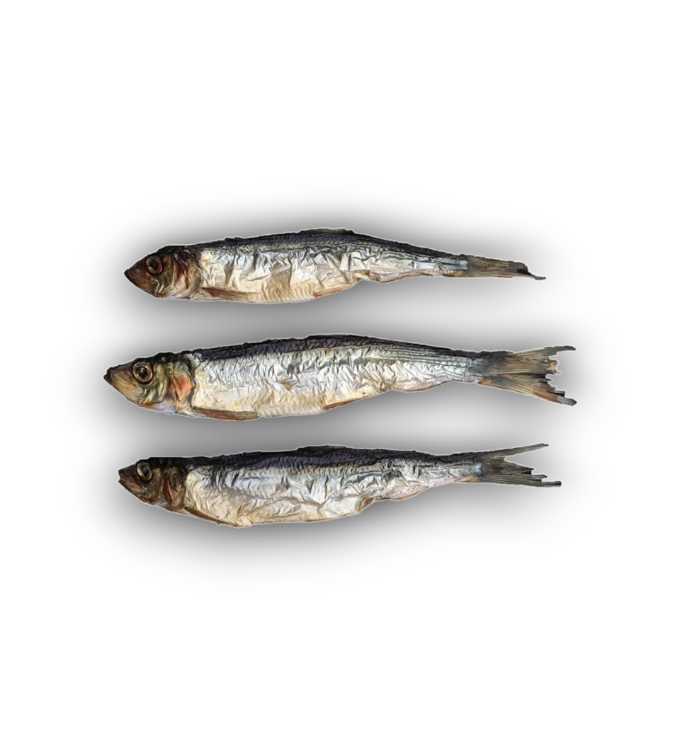 Anco Oceans Dried Herring β 10 Pack Dog Treat