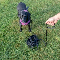 A black nylon dog training lead with a handle, shown being used by a person standing on grass. A dog is also visible in the background, wearing a pink collar.