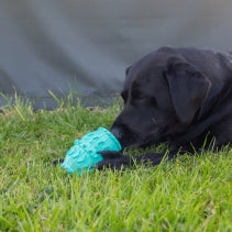 Ancol Örva Treat Barrel – Durable Dog Enrichment Toy