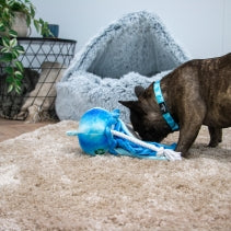 Dog playing with a blue toy on a sandy surface