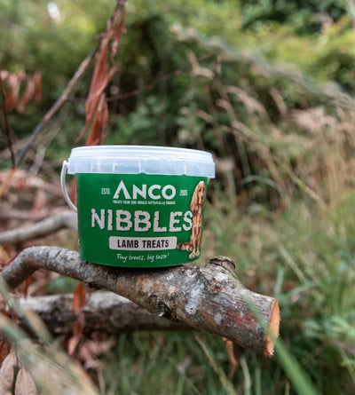 Green container of Anco Nibbles Lamb Treats on a branch with a natural background