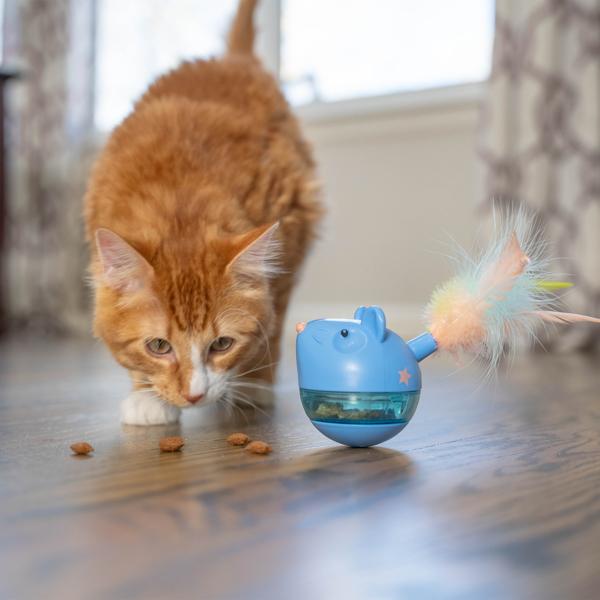Cat playing with a blue toy on a wooden floor