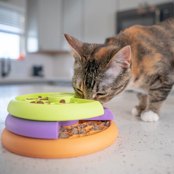 Cat interacting with a colorful food puzzle toy on a kitchen counter.