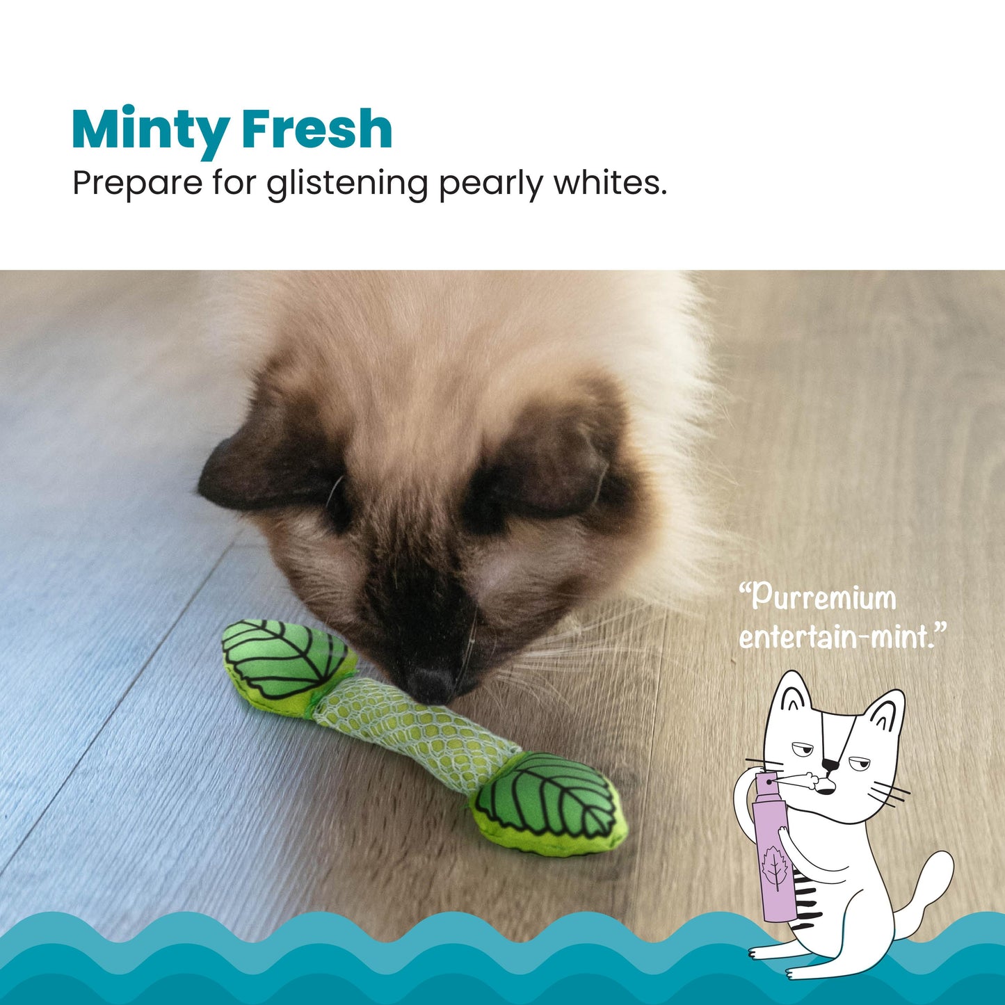 Nina Ottosson Catstages Fresh Breath Mint Stick Cat Toy – Dental Chew with Real Catmint