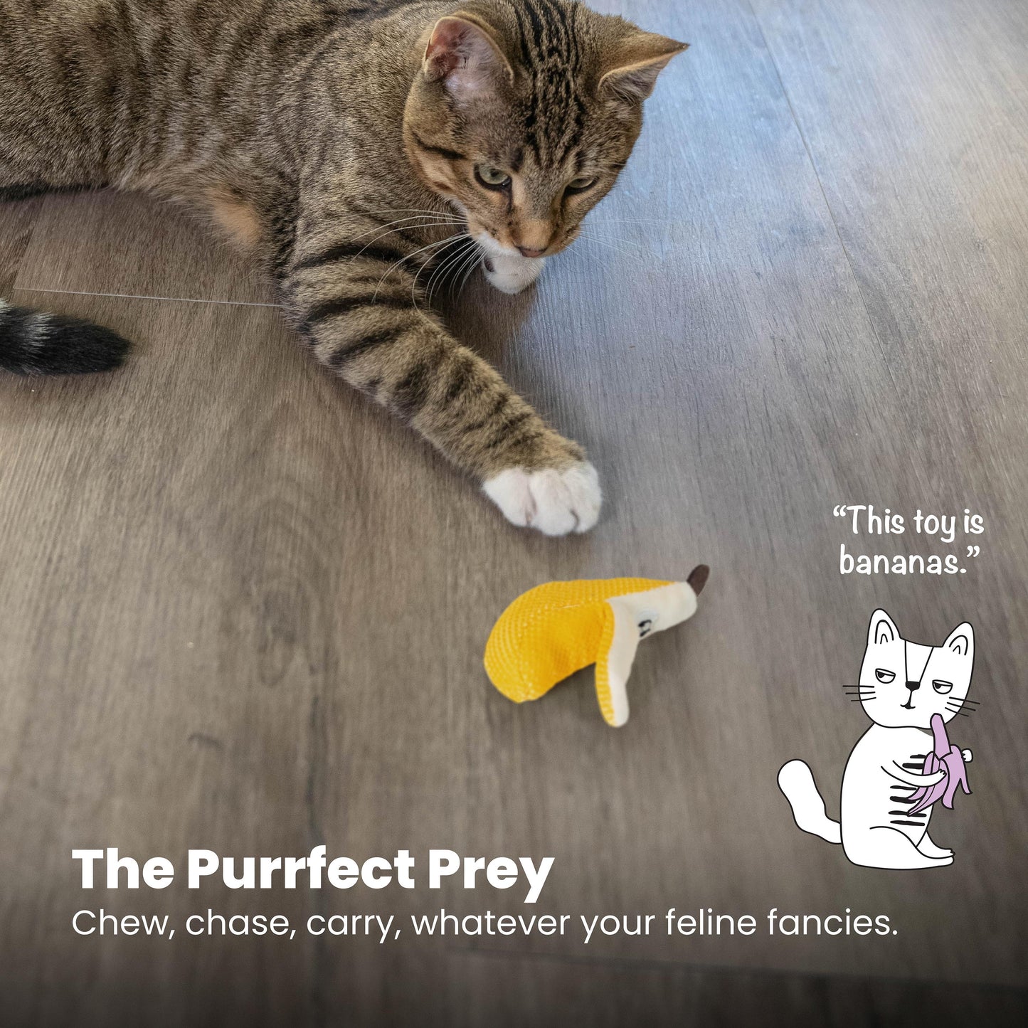 Cat playing with a toy on a wooden floor, with text and branding elements.