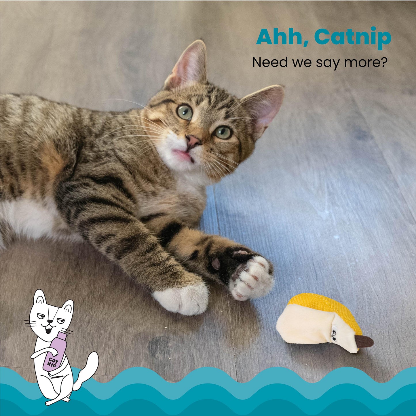 Cat lying on a textured surface with text 'Ahh, Catnip Need we say more?' and a cartoon cat with a pacifier.