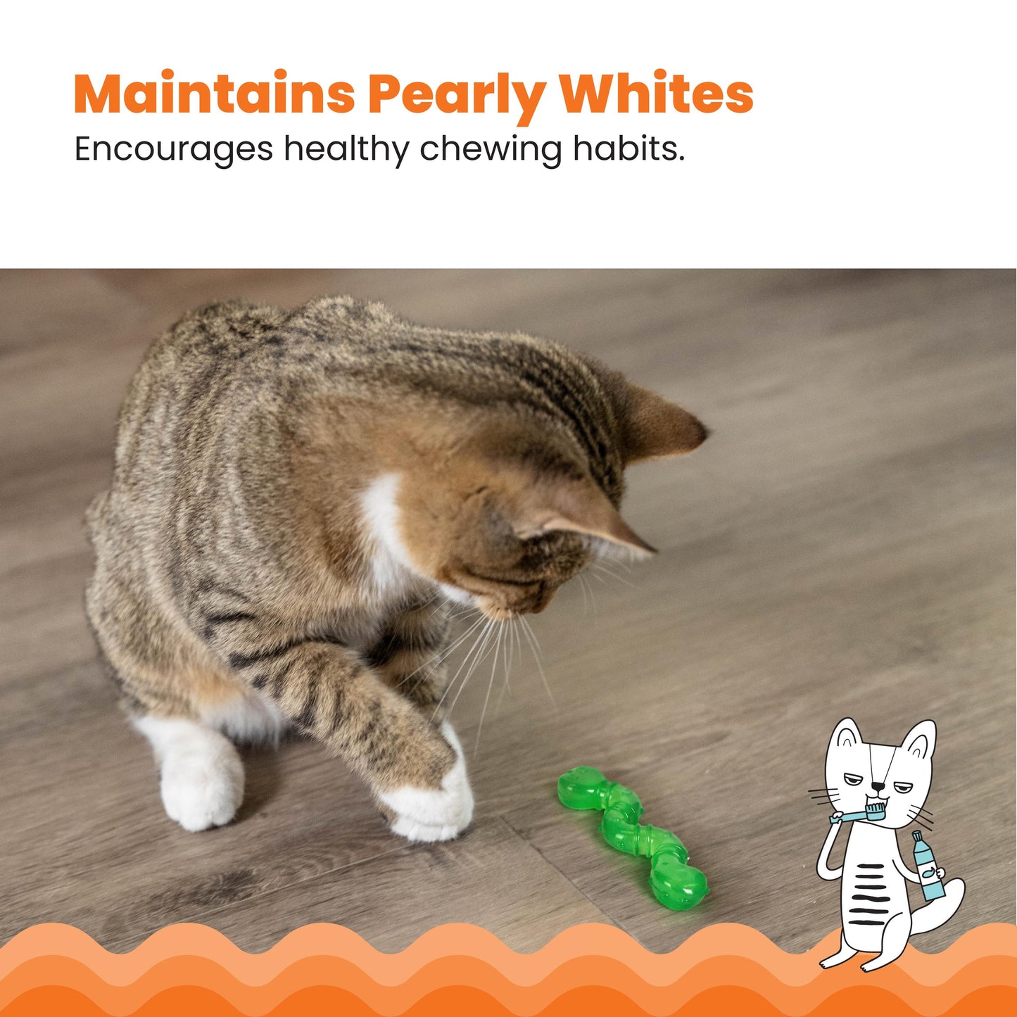 Cat playing with a green chew toy on a wooden floor, with text about maintaining pearly whites and healthy chewing habits.