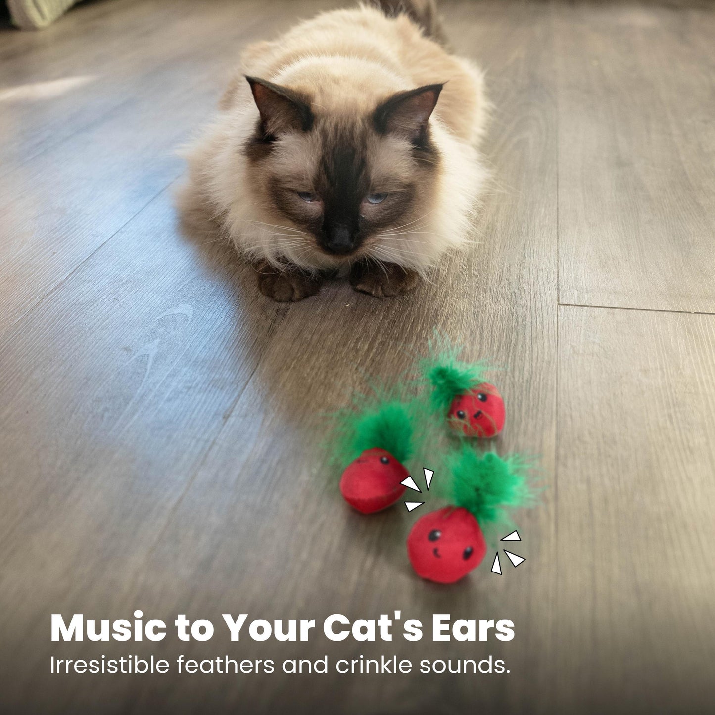 Cat playing with cat toys on a wooden floor