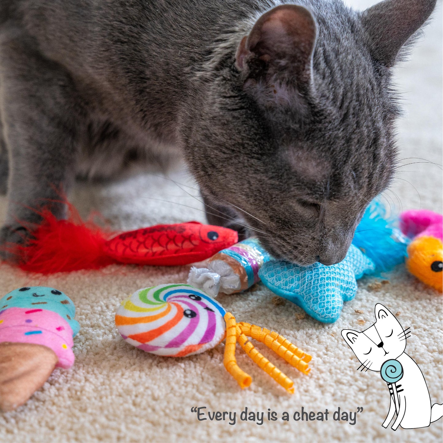 Gray cat playing with colorful cat toys on a carpet