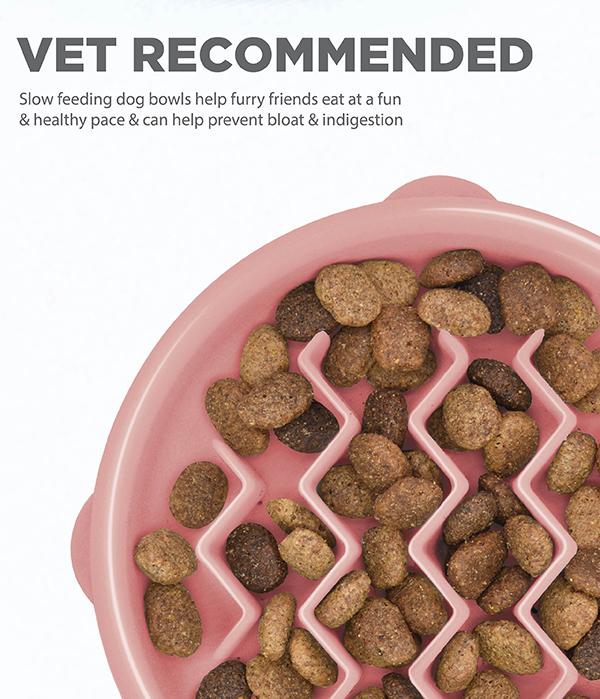 Outward Hound Fun Slow Feeder For Dogs - MINI
