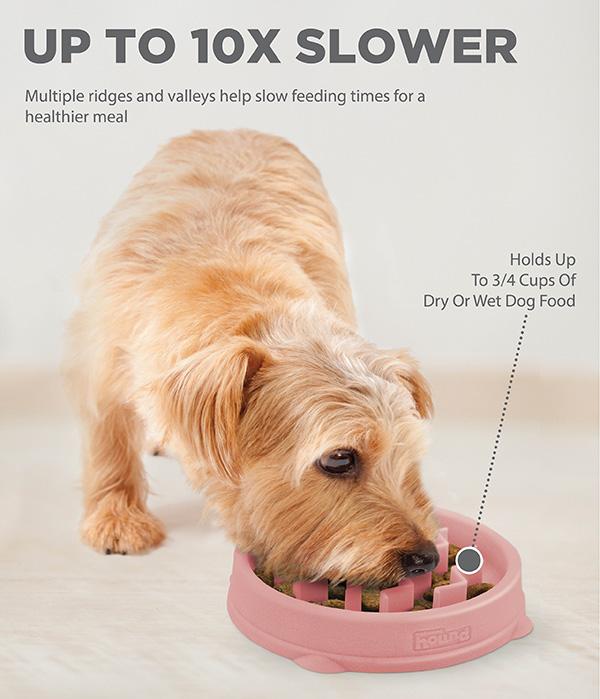 Outward Hound Fun Slow Feeder For Dogs - MINI