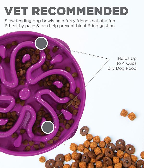 Outward Hound Fun Slow Feeder For Dogs - Purple