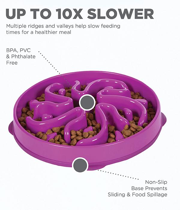 Outward Hound Fun Slow Feeder For Dogs - Purple
