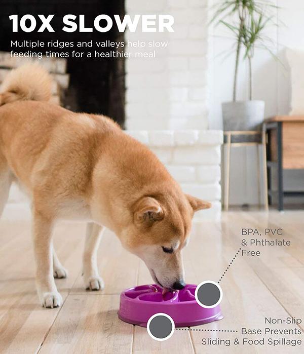 Outward Hound Fun Slow Feeder For Dogs - Purple