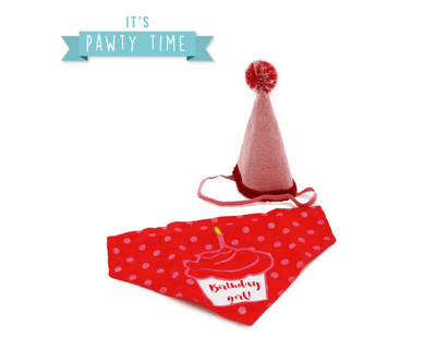 Red Ancol birthday bandana and pink party hat for dogs