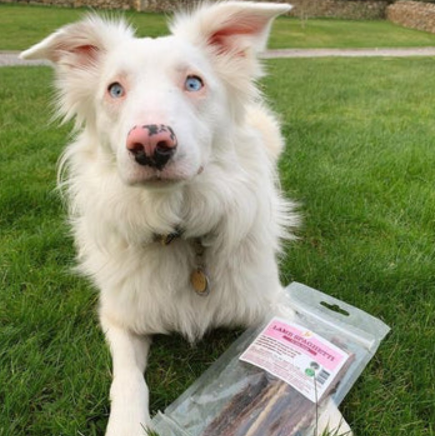 Jr Lamb Spaghetti Natural Dog Treat 50g