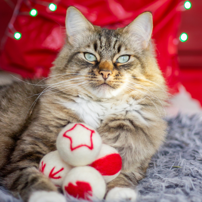 Cupid & Comet Wool Cat Balls 4 Pack