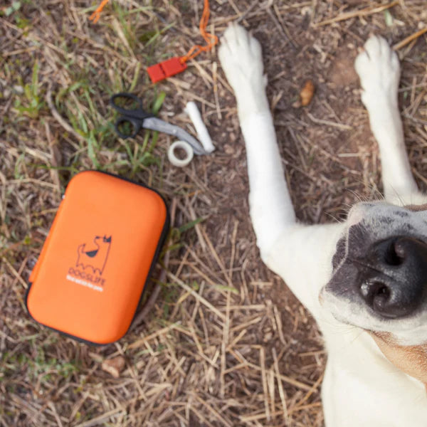 Dog lying on grass beside open DogsLife pet first aid kit with medical essentials including bandage, scissors, and whistle; perfect for outdoor pet safety and emergency care on walks, hikes, or travel