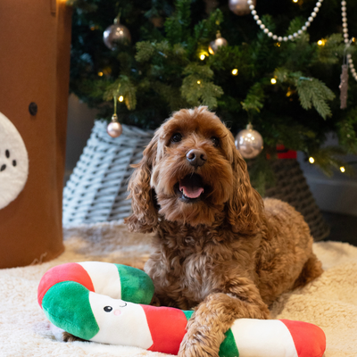Cupid & Comet Carrie Candy Cane Plush Dog Toy