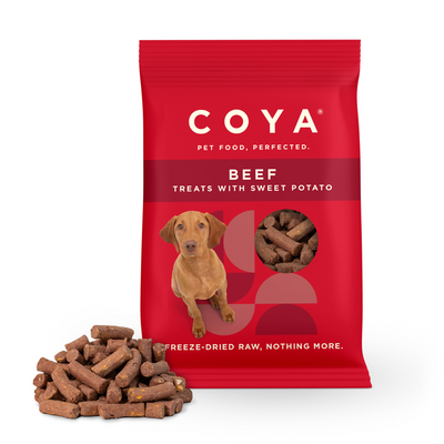 COYA Raw Dog Treats 40g – Hypoallergenic, High-Protein & Grain-Free