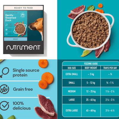 Nutriment Gently Steamed Complete Dog Food – Ambient Raw-Inspired Meals.