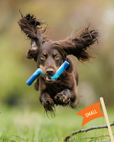 Twiggy Tags ZigZoom™ Interactive Fetch Toy.