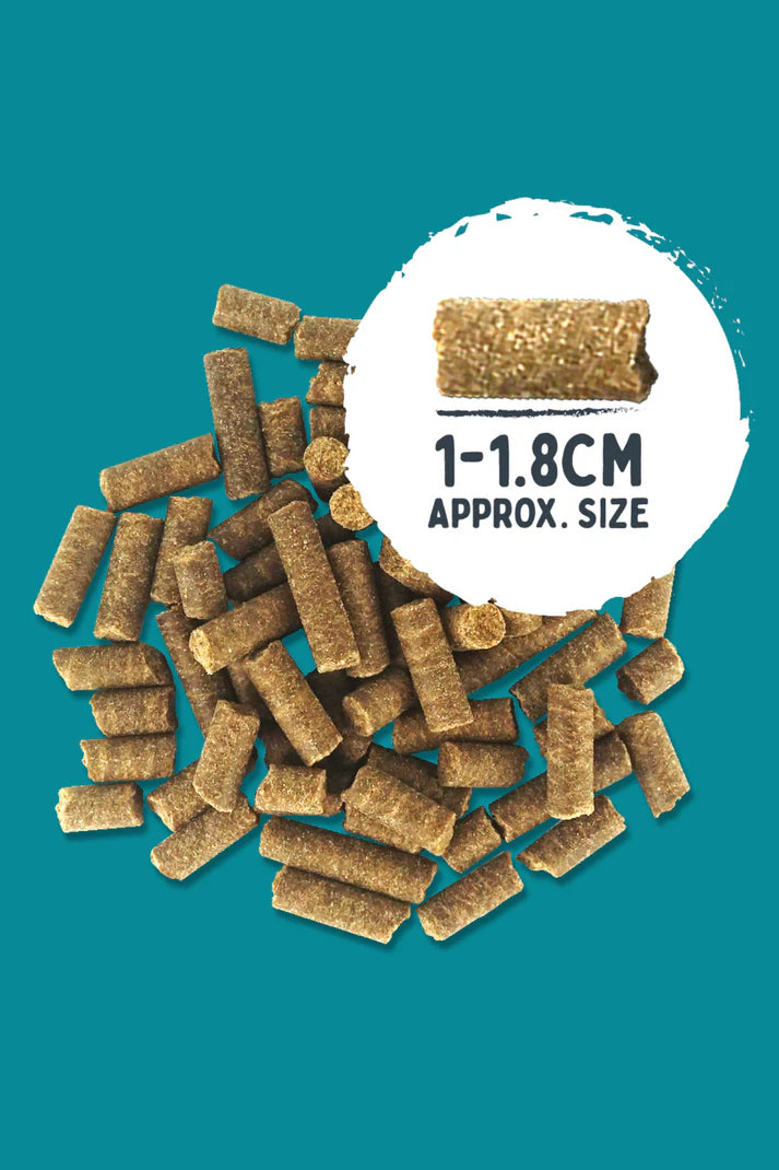 Dog food with size measurement label on a teal background