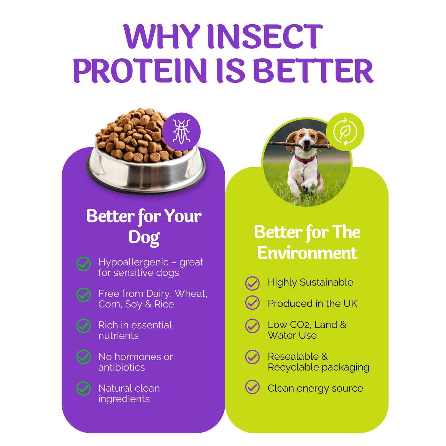 Promotional graphic about insect protein for dogs, highlighting benefits for both dogs and the environment.