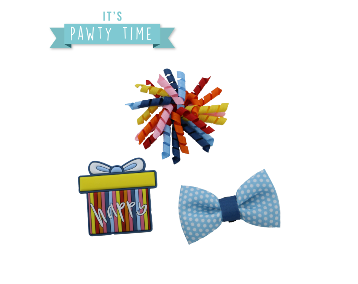 Ancol Pawty Collection - Collar Accessories